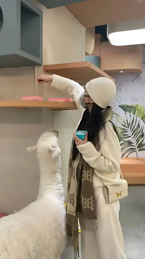 体育竞猜网_欧美00后rapper潮水仙踪林_小峓子的味道4